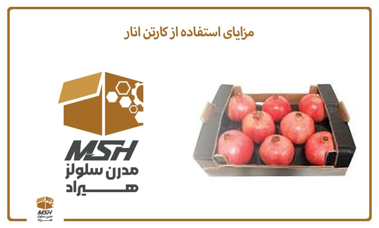 مزایای استفاده از کارتن انار