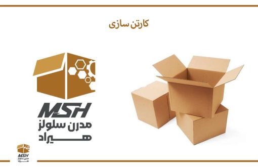 کارتن سازی