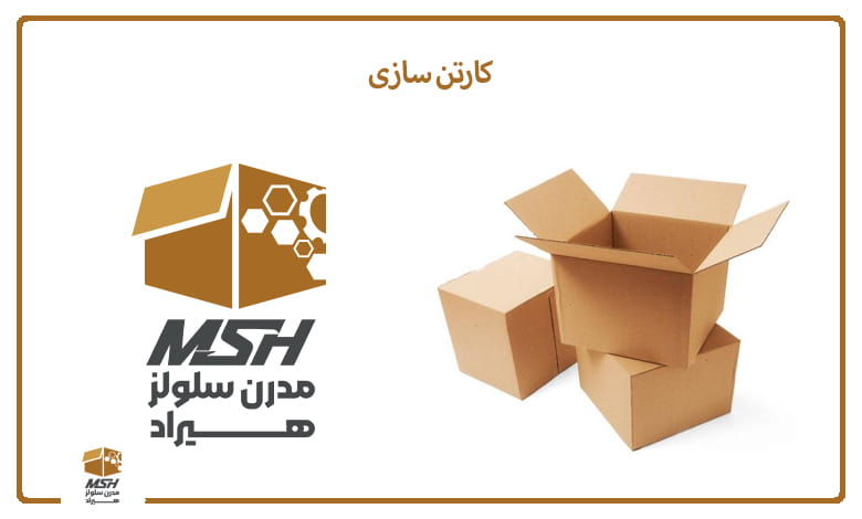 کارتن سازی