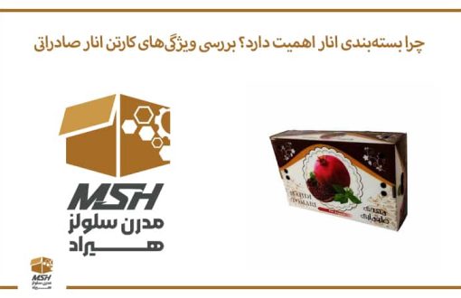 چرا بسته‌بندی انار اهمیت دارد؟ بررسی ویژگی‌های کارتن انار صادراتی