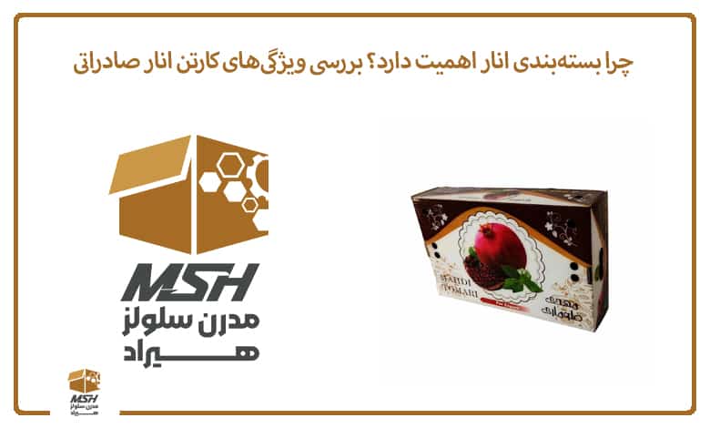چرا بسته‌بندی انار اهمیت دارد؟ بررسی ویژگی‌های کارتن انار صادراتی