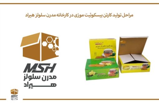 مراحل تولید کارتن بیسکوئیت موزی در کارخانه مدرن سلولز هیراد