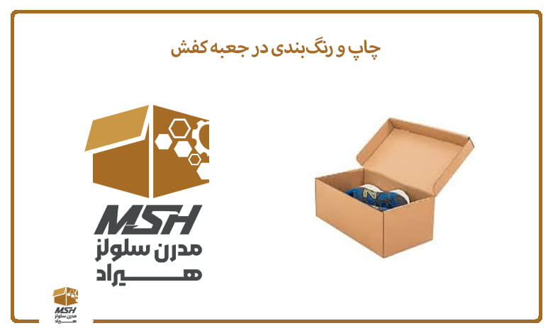 چاپ و رنگ‌بندی در جعبه کفش