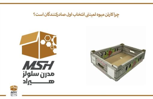 چرا کارتن میوه لمینتی انتخاب اول صادرکنندگان است؟