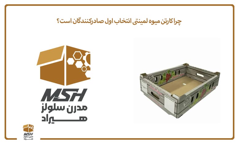 چرا کارتن میوه لمینتی انتخاب اول صادرکنندگان است؟