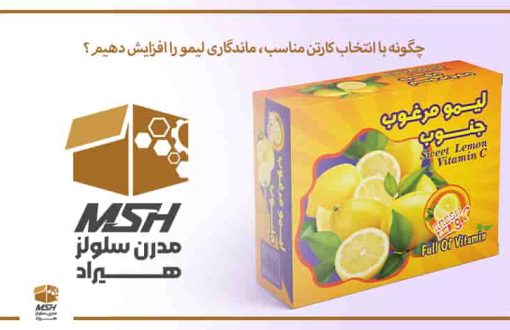 چگونه با انتخاب کارتن مناسب، ماندگاری لیمو را افزایش دهیم؟