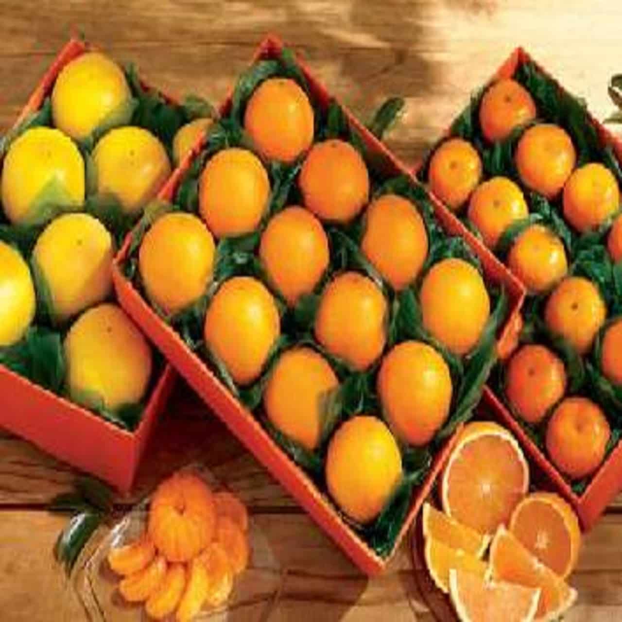 Orange-packing-carton1