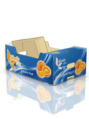 کارتن پرتقال