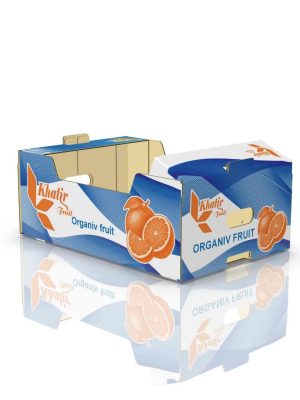 کارتن پرتقال