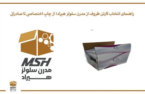 راهنمای انتخاب کارتن ظروف از مدرن سلولز هیراد؛ از چاپ اختصاصی تا صادراتی