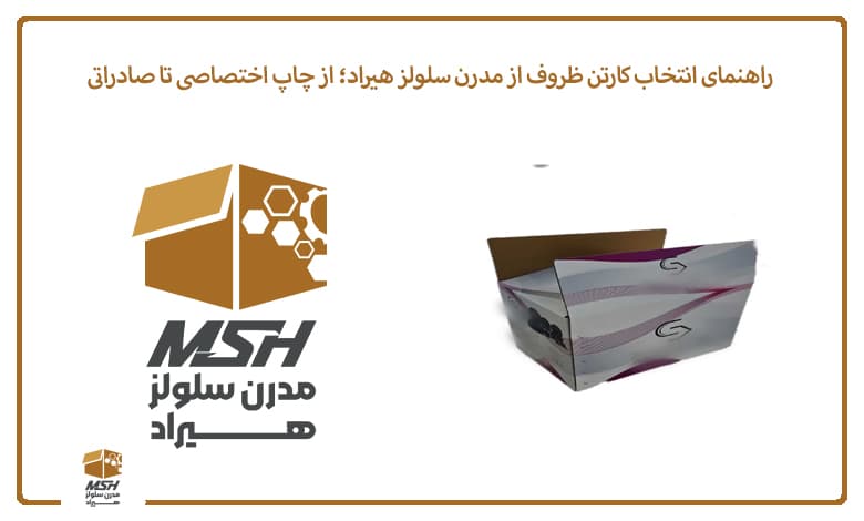 راهنمای انتخاب کارتن ظروف از مدرن سلولز هیراد؛ از چاپ اختصاصی تا صادراتی