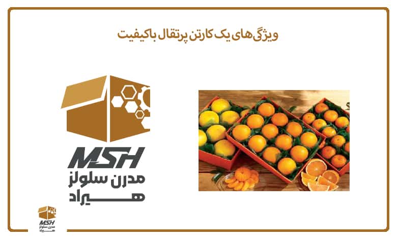 ویژگی‌های یک کارتن پرتقال باکیفیت