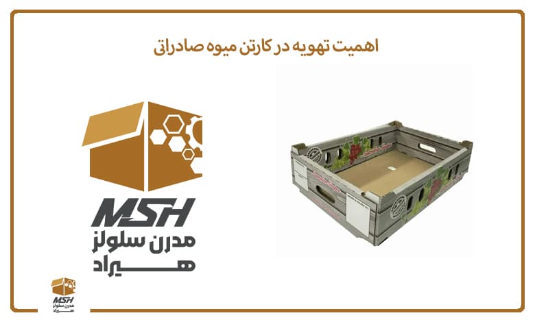 اهمیت تهویه در کارتن میوه صادراتی