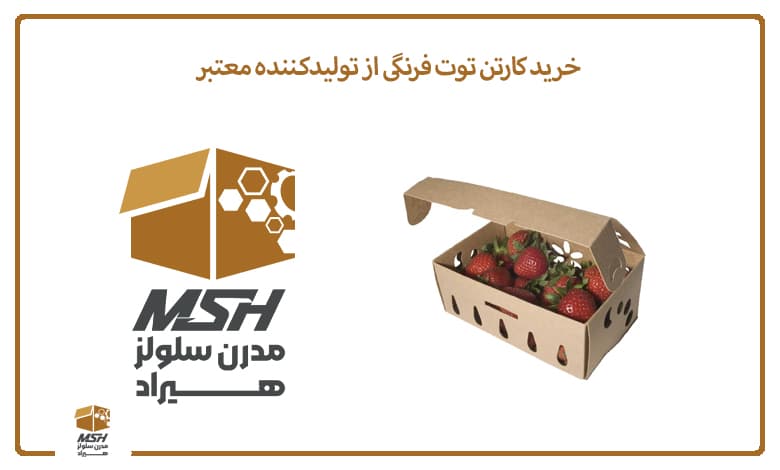 خرید کارتن توت فرنگی از تولیدکننده معتبر