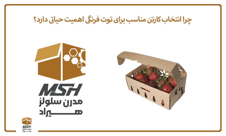 چرا انتخاب کارتن مناسب برای توت فرنگی اهمیت حیاتی دارد؟