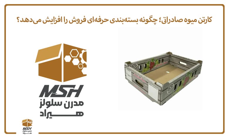 کارتن میوه صادراتی؛ چگونه بسته‌بندی حرفه‌ای فروش را افزایش می‌دهد؟