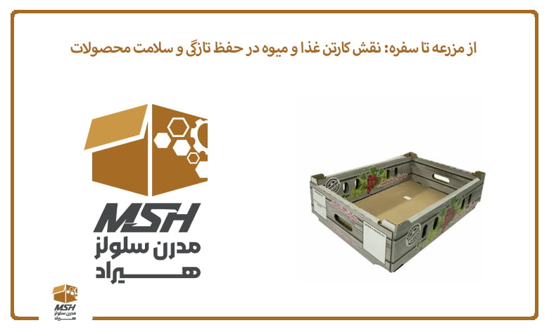 از مزرعه تا سفره: نقش کارتن غذا و میوه در حفظ تازگی و سلامت محصولات