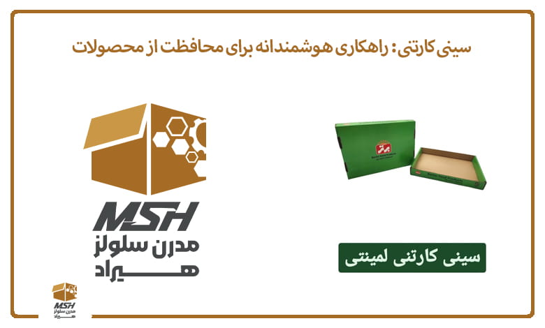 سینی کارتنی: راهکاری هوشمندانه برای محافظت از محصولات