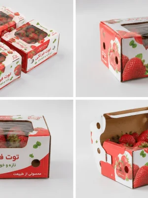 کارتن توت فرنگی صادراتی
