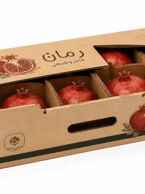 کارتن انار صادراتی