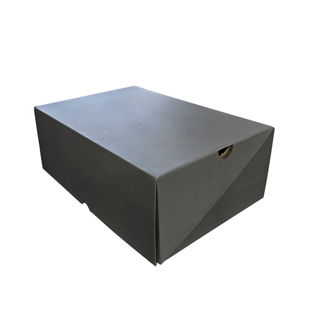 جعبه کفش درب‌دار