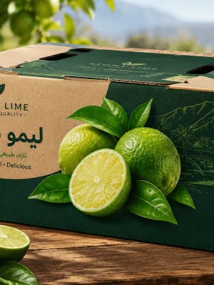کارتن لیمو سنگی 5 کیلویی