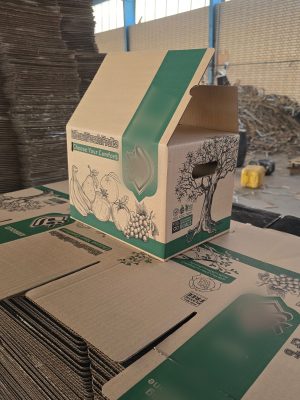 کارتن چاپدار