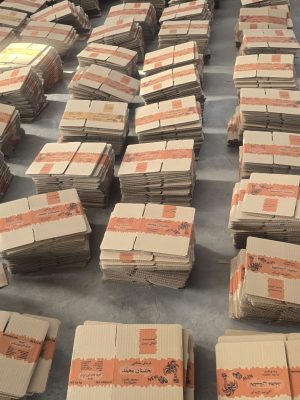 کارتن چاپدار خرما